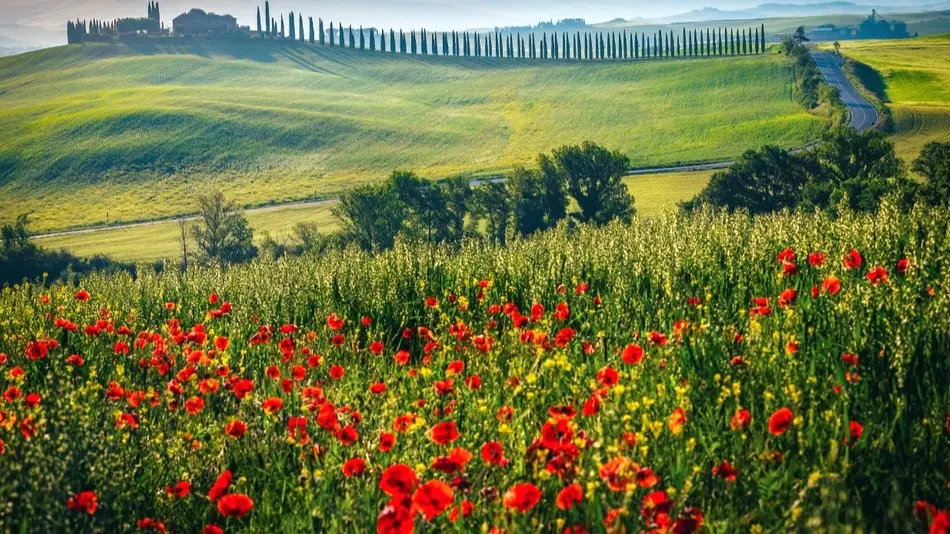 Nature & Landscapes