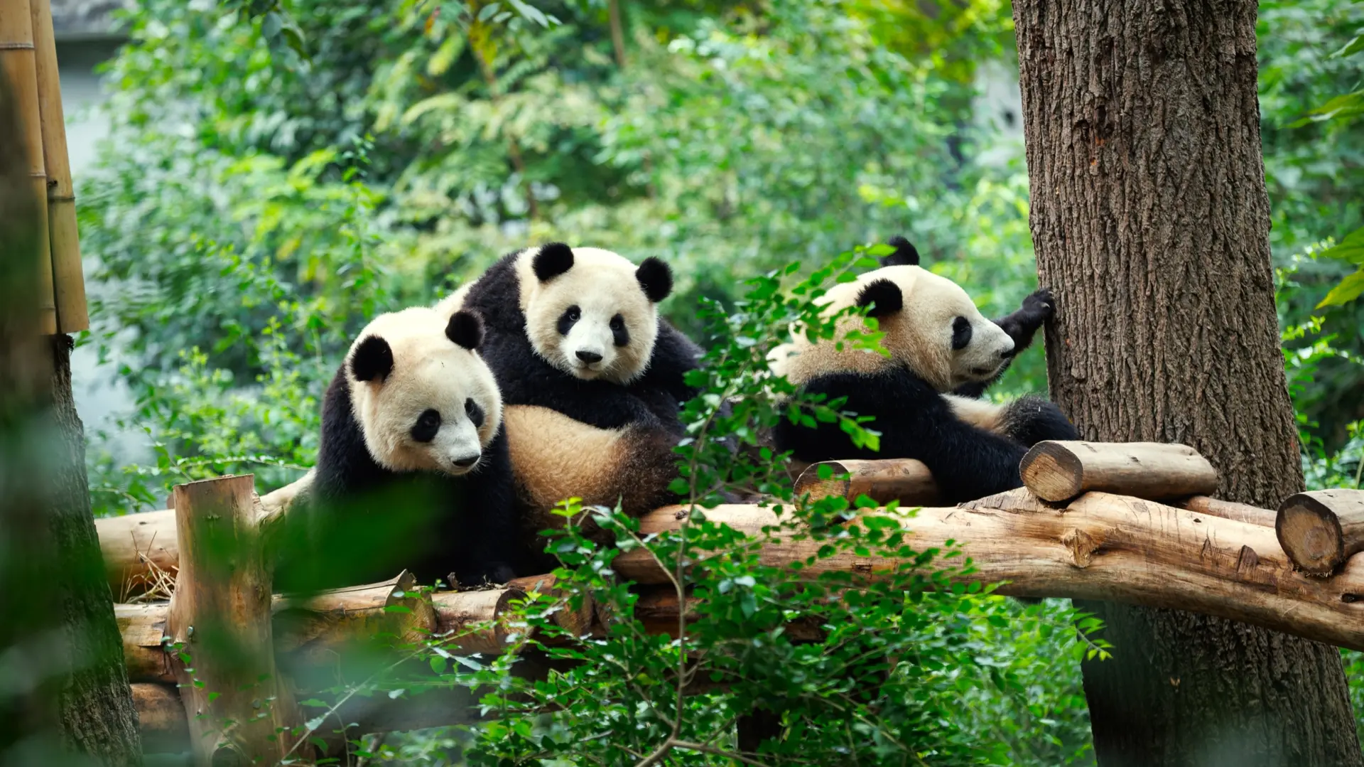 Faune et Biodiversité