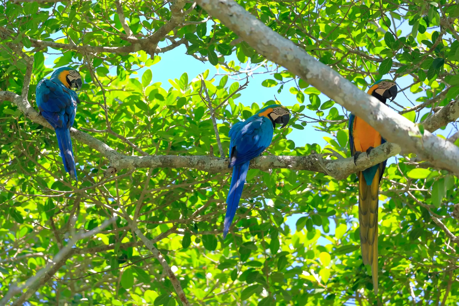 Wildlife & Biodiversity