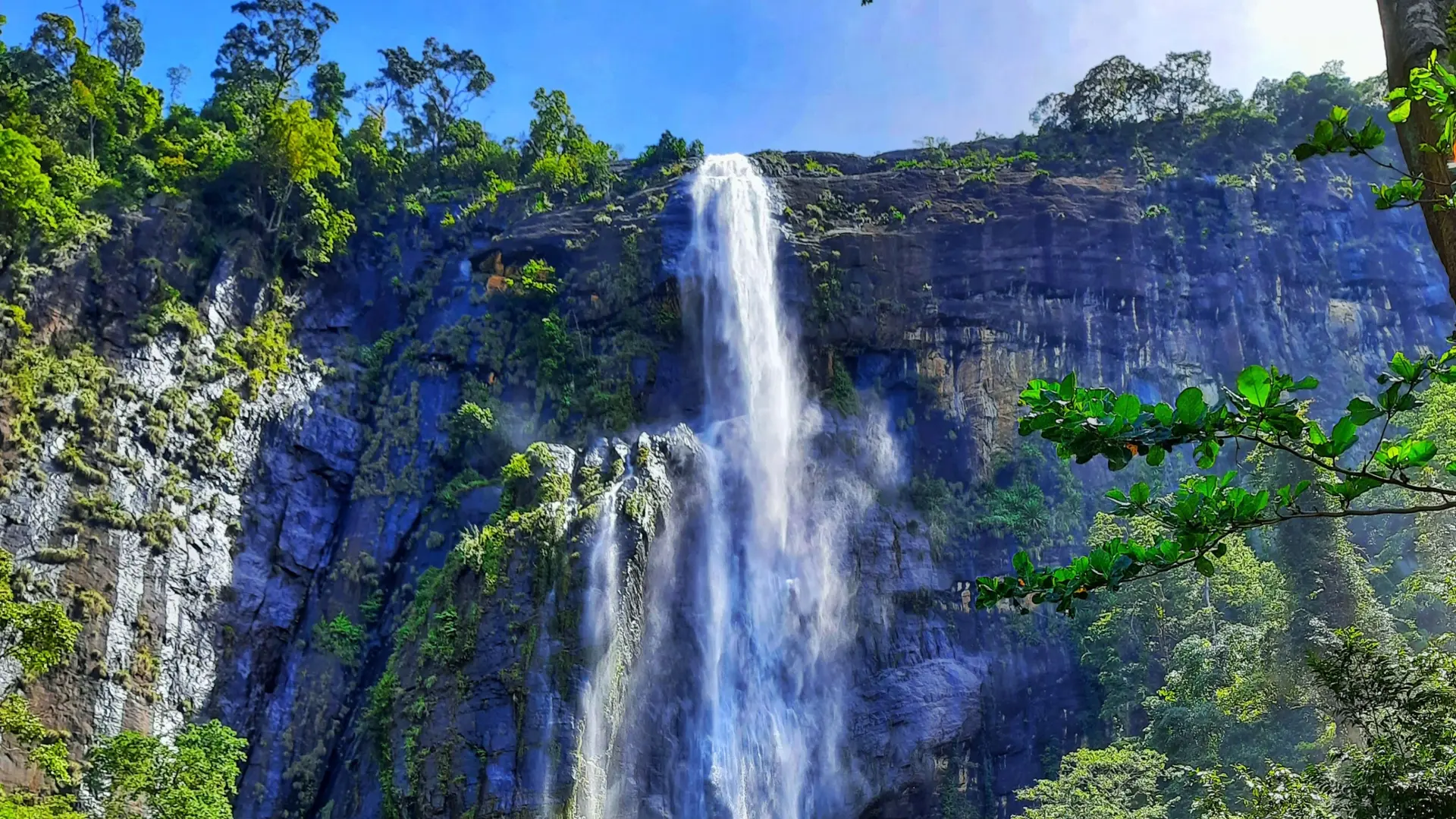 Nature et Paysage