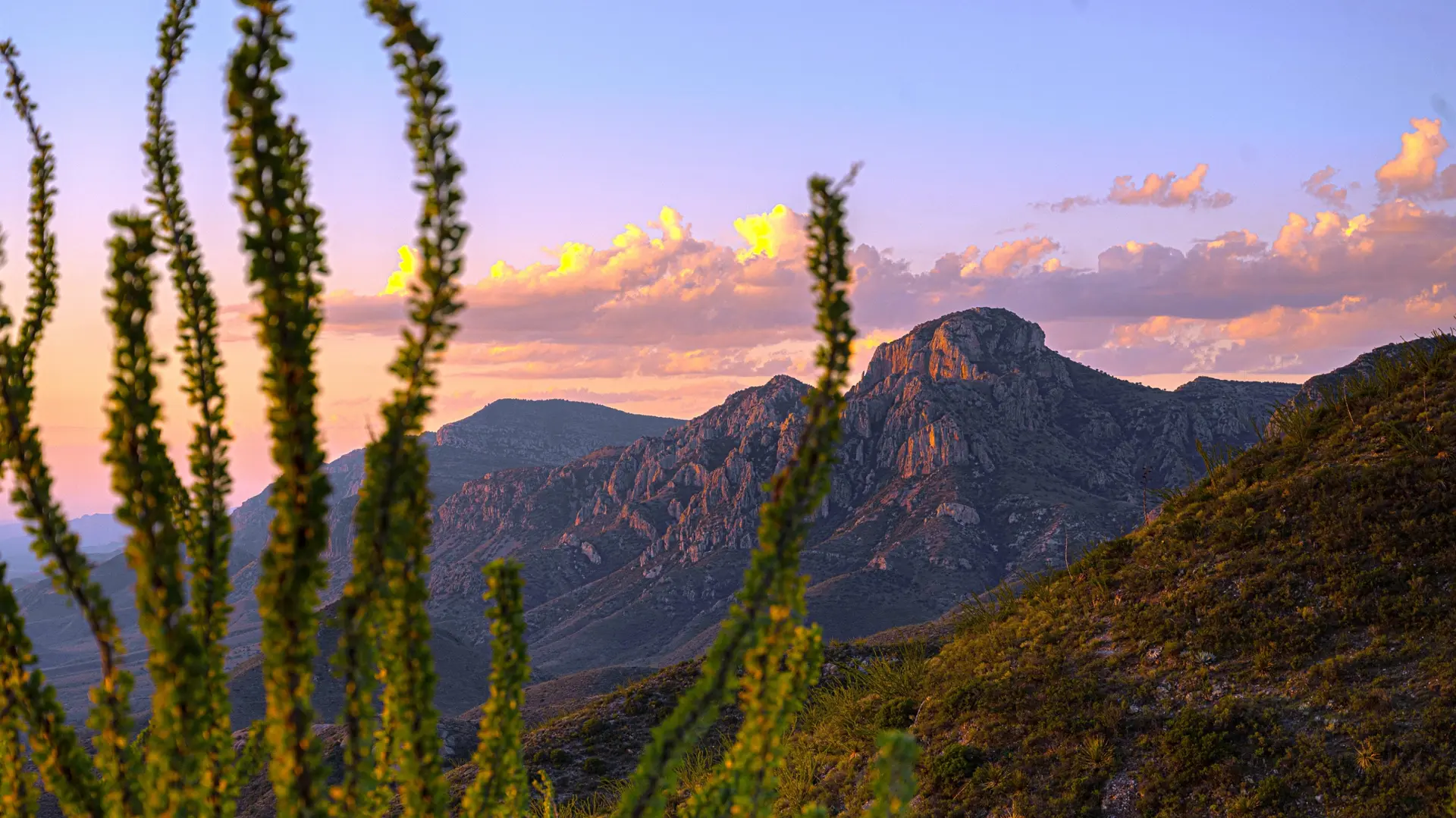 Naturaleza y Paisaje