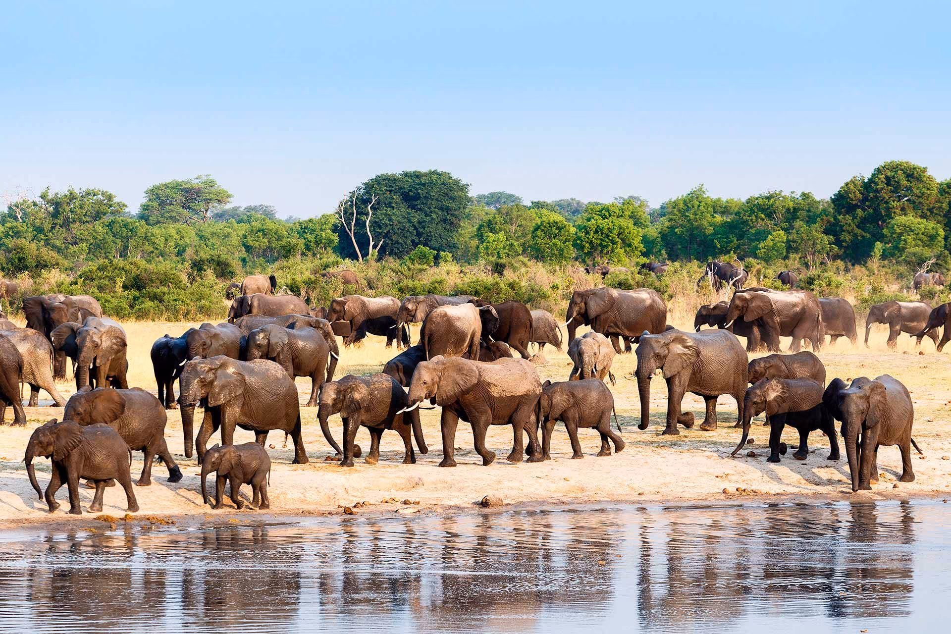 Victoria Falls Caprivi Strip Okavango Delta Maun Moremi Delta Chobe National Park Kwange and Falls