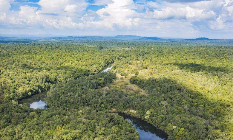 Trekking in Koh Kong & Beach