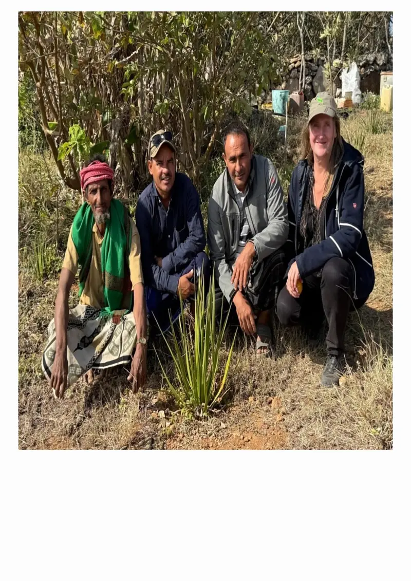 Eisa, Socotra
