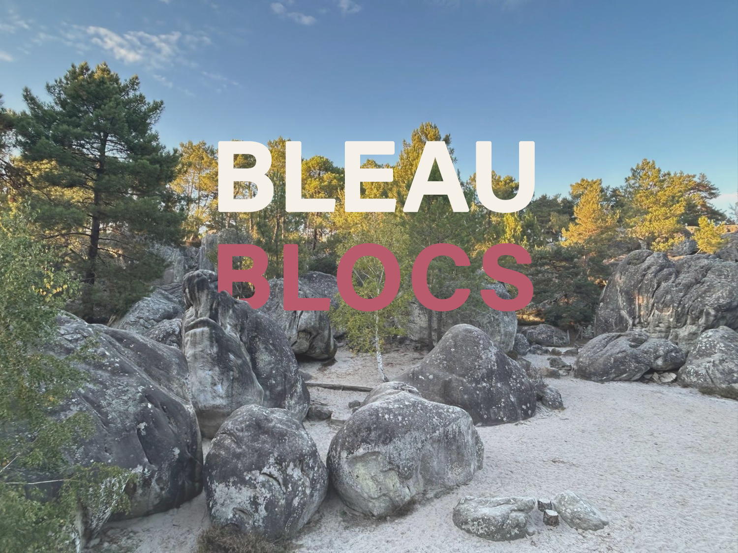 Séjour escalade en forêt de Fontainebleau