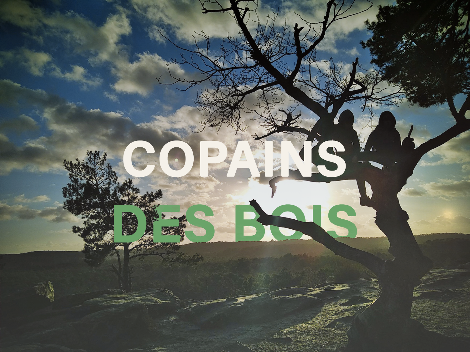 Week-end multi activité famille en forêt de Fontainebleau