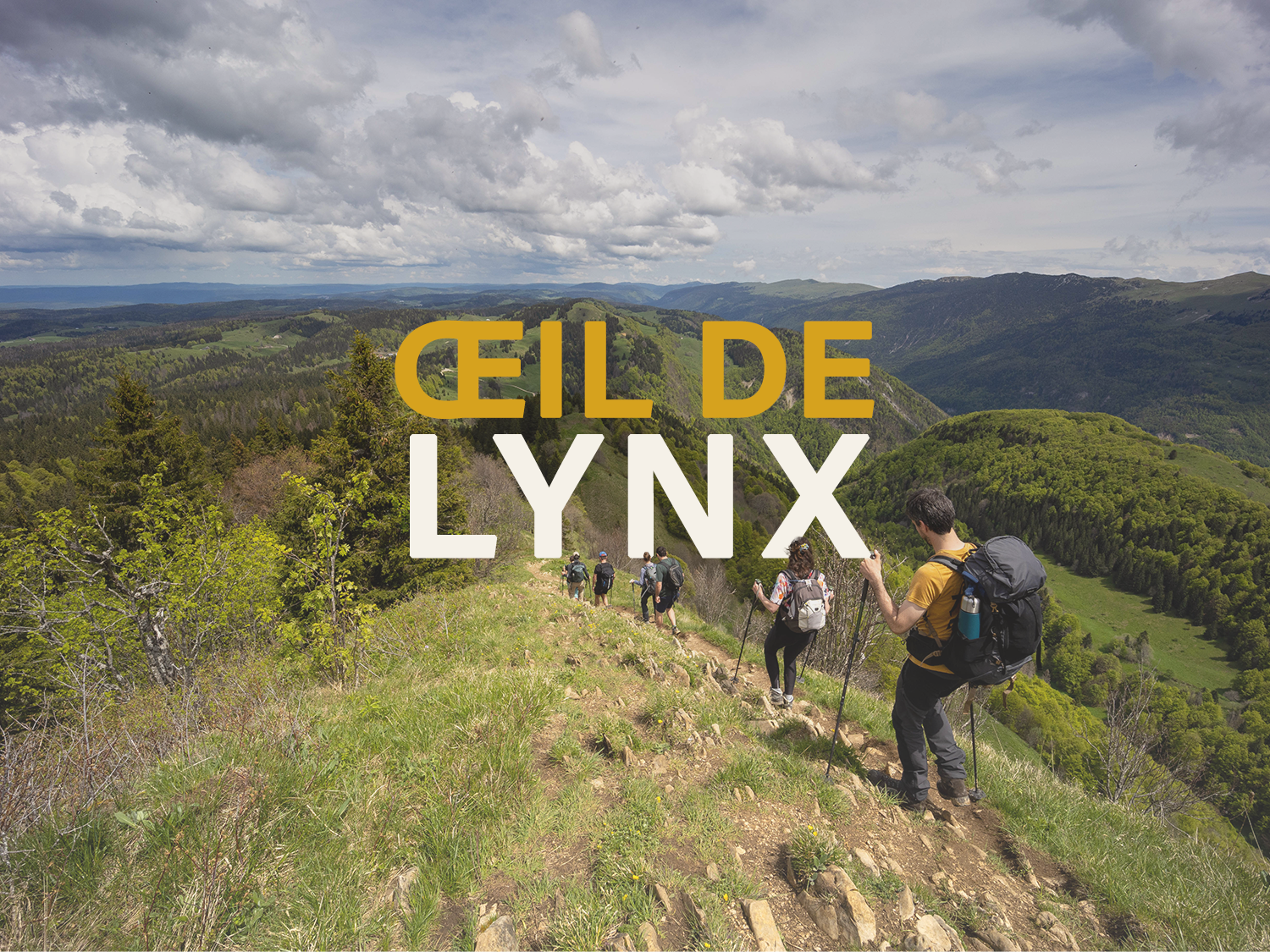 Sur les traces du lynx - Jura