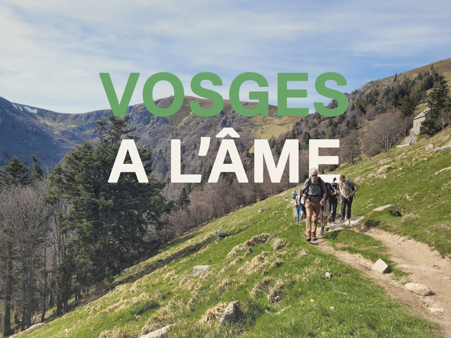 Sur les crêtes Vosgiennes, rando, refuge et bonne bouffe