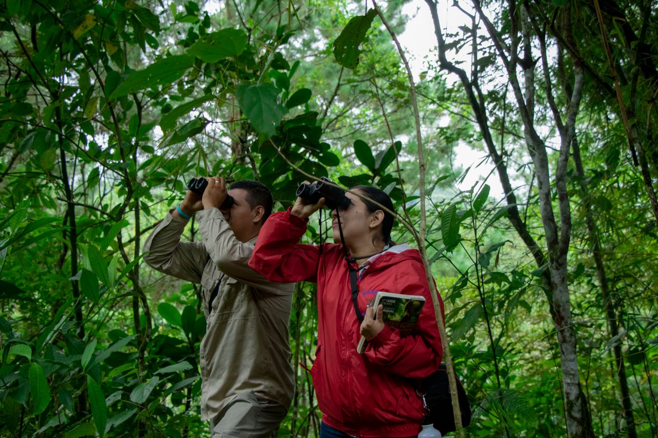 Naturalistes