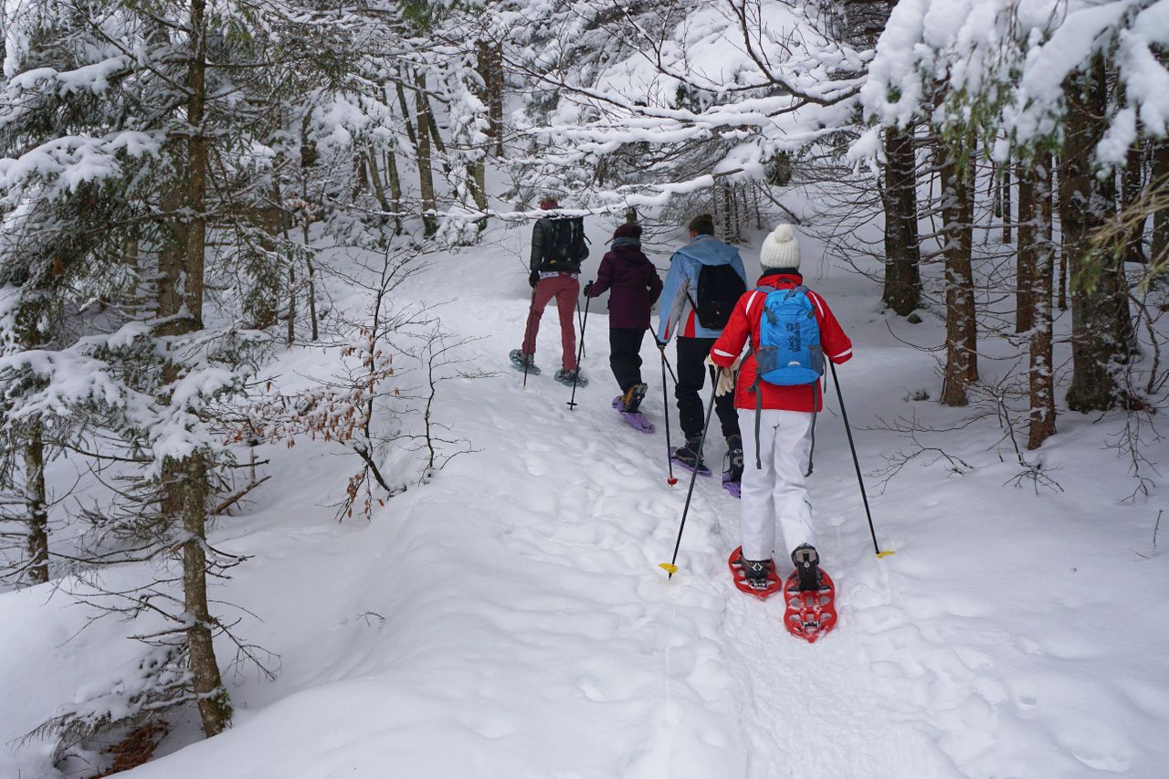 Snowshoeing