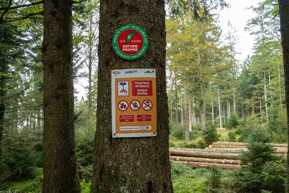 Accendere un fuoco in natura: cosa dice la legge