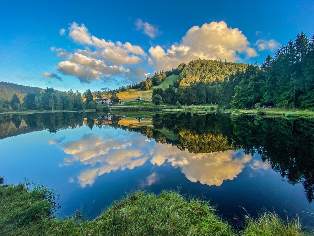 Vosges