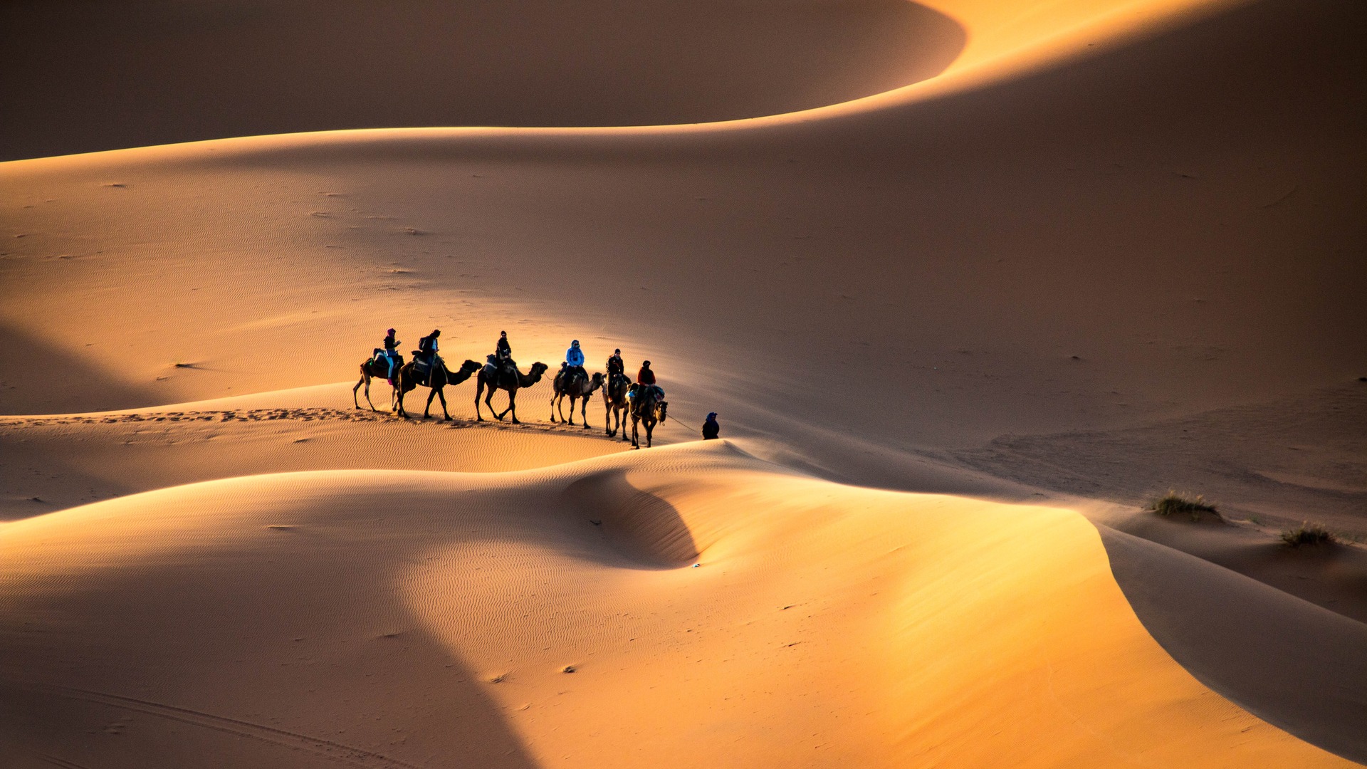 Erg Chebbi