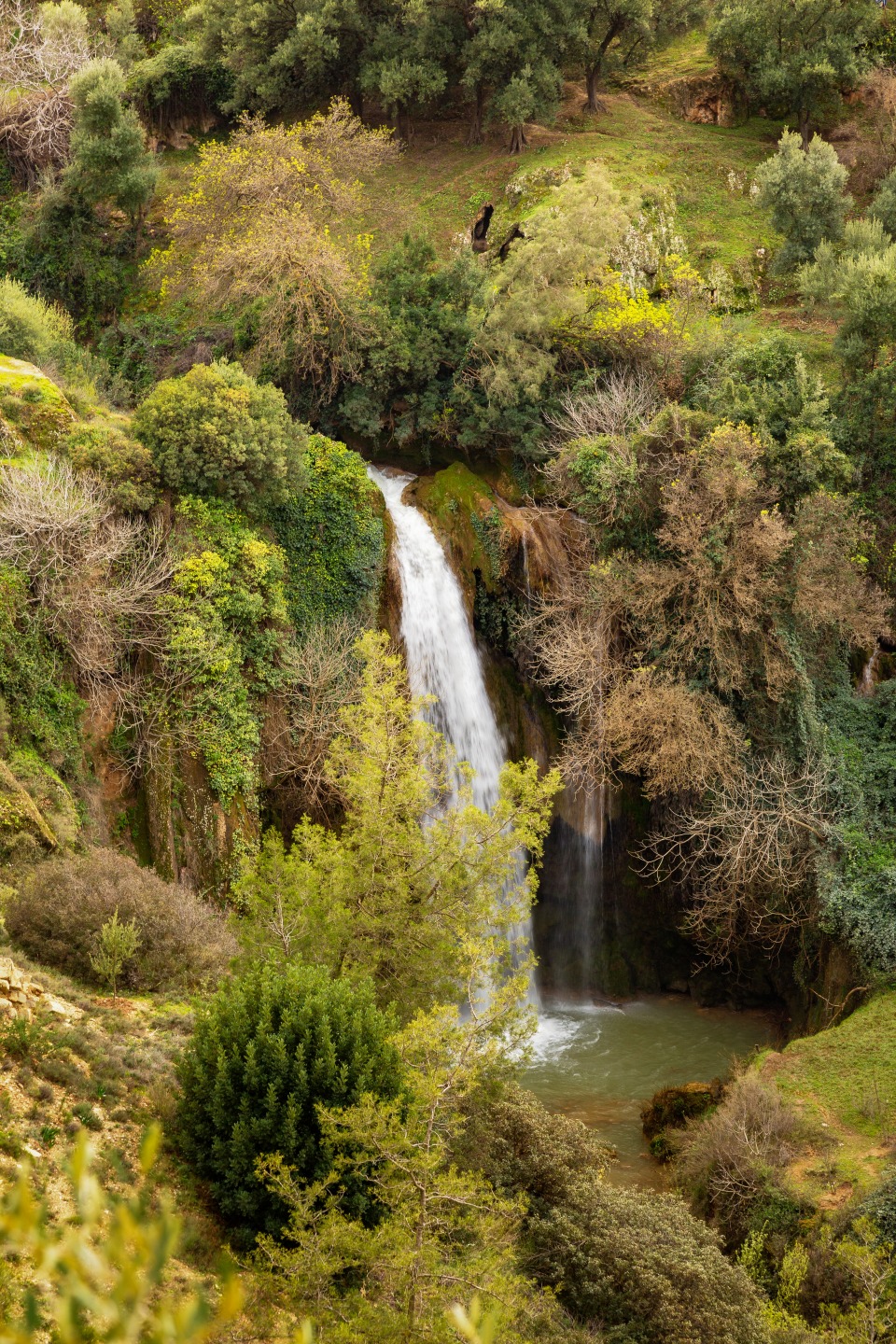 Le parc national de Tazekka