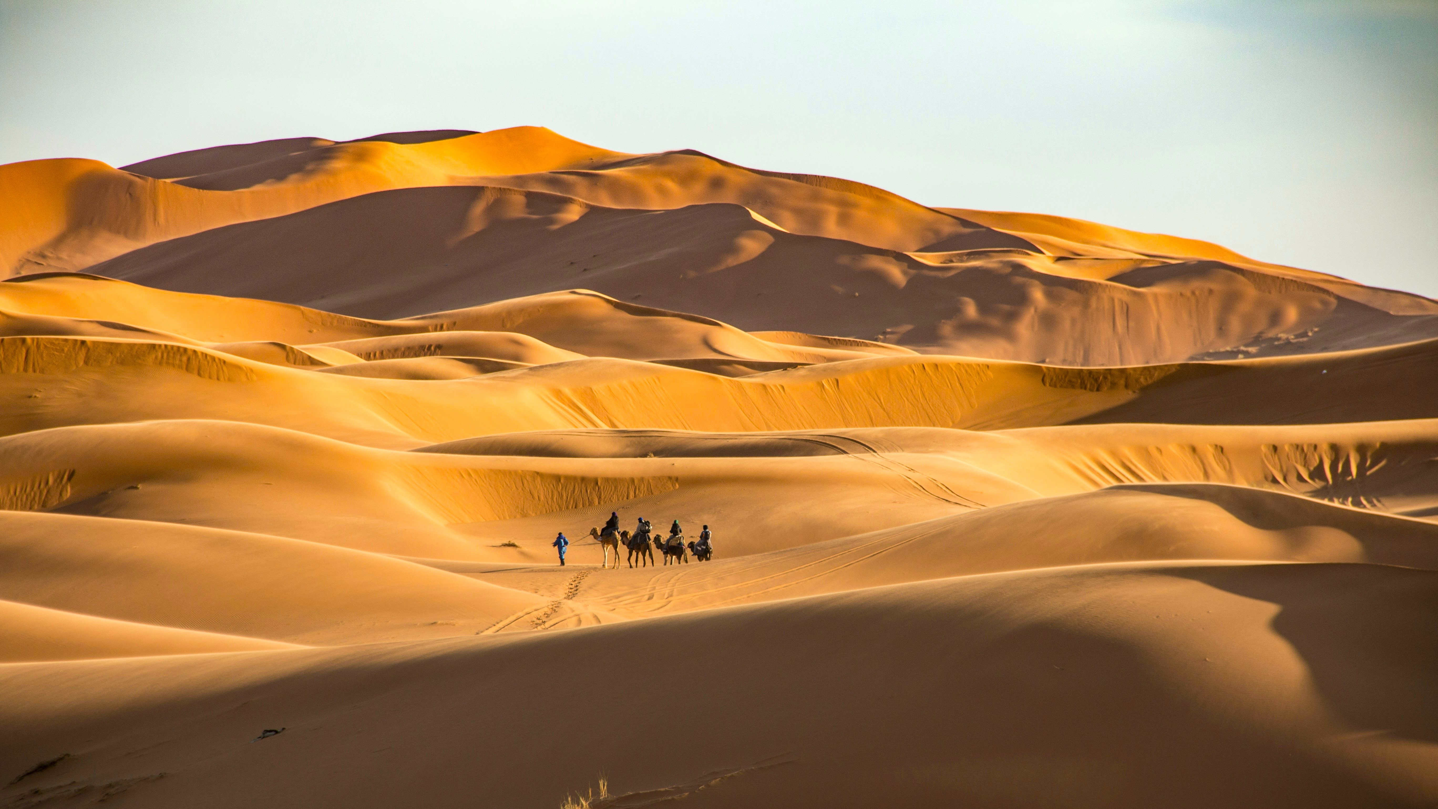 Sahara