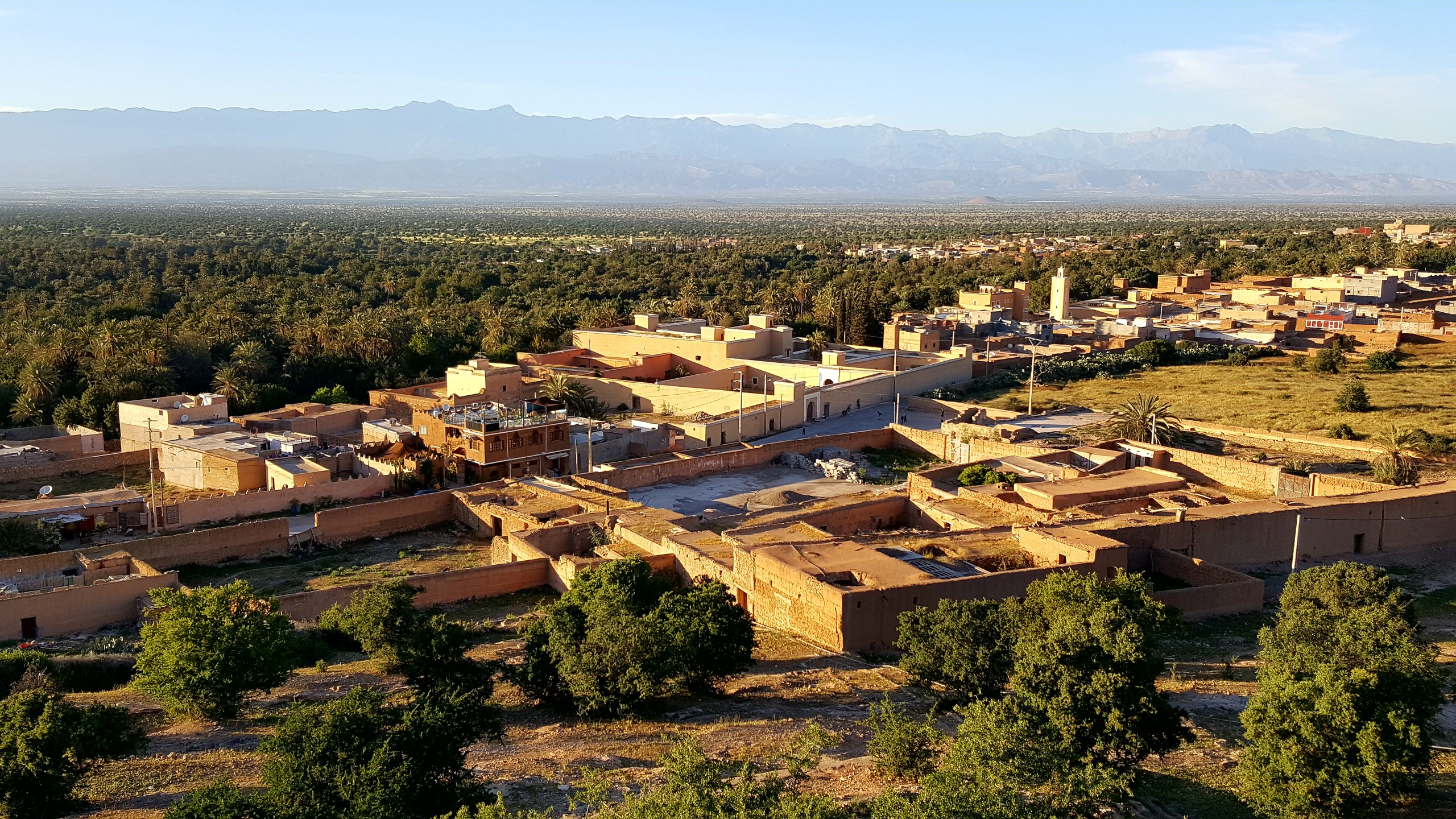 La palmeraie di Tioute