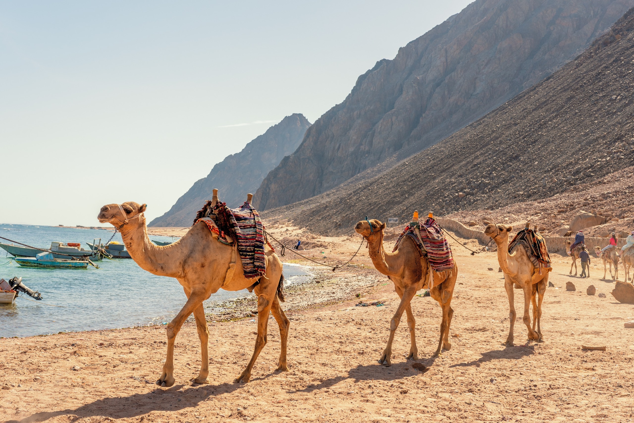 Randonnée à dos de dromadaire au Maroc : 5 lieux incontournables