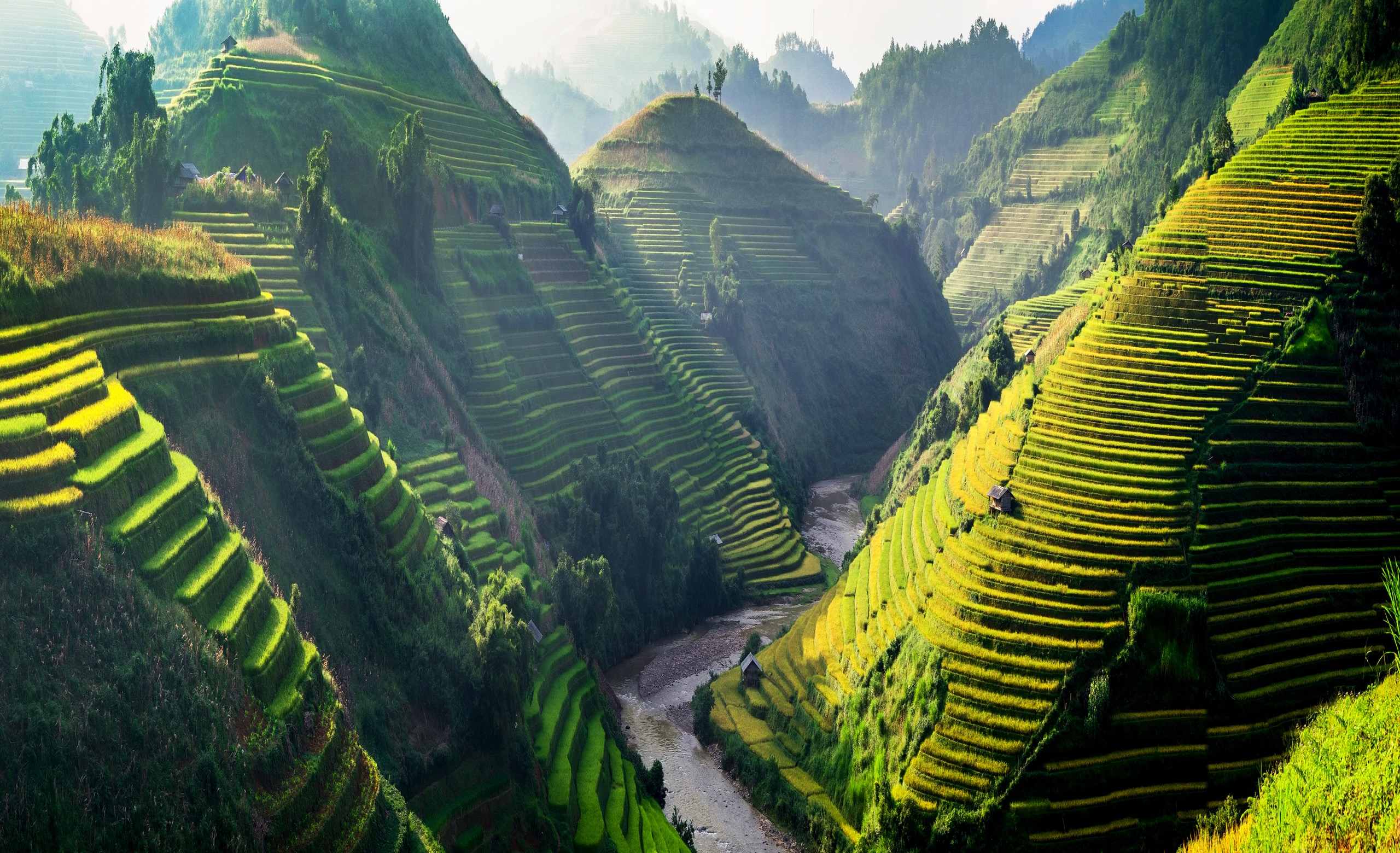 Randonnée dans les rizières de Sapa : notre guide pratique