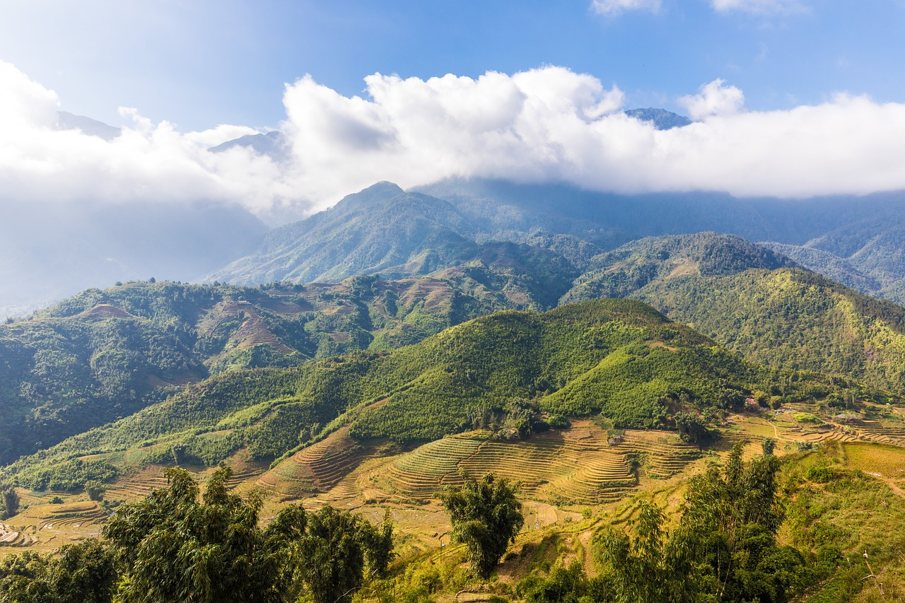 Sapa