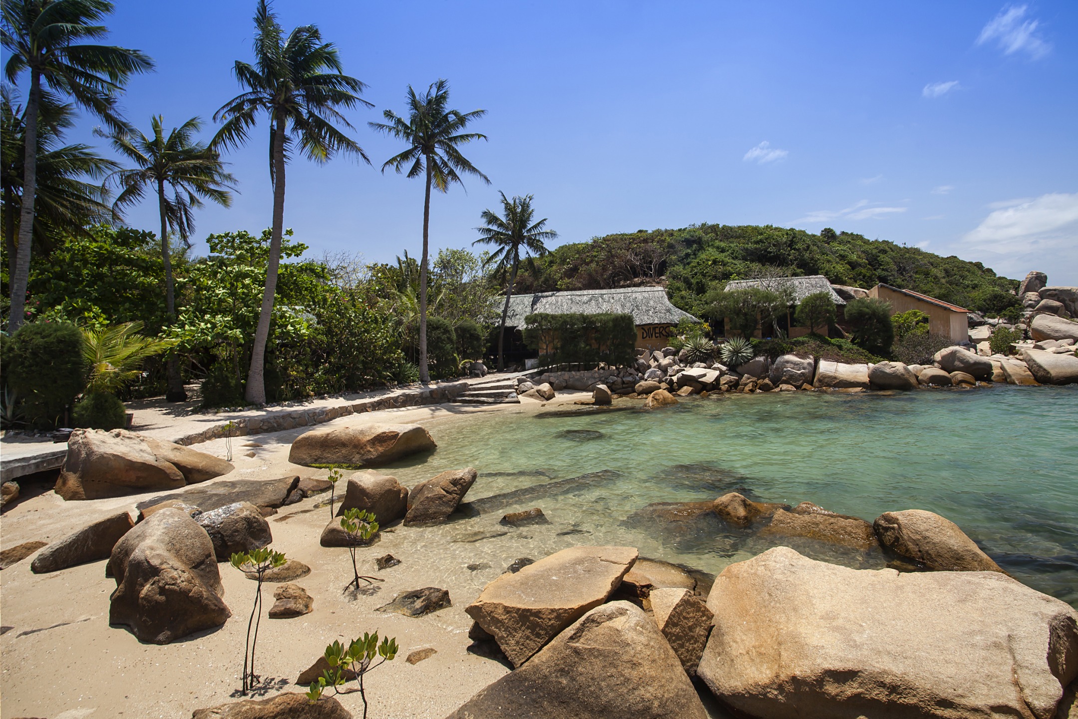 Île aux baleines