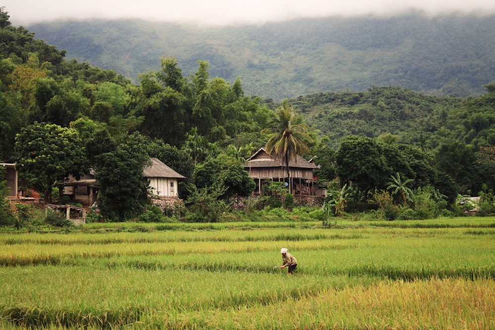 Mai Chau