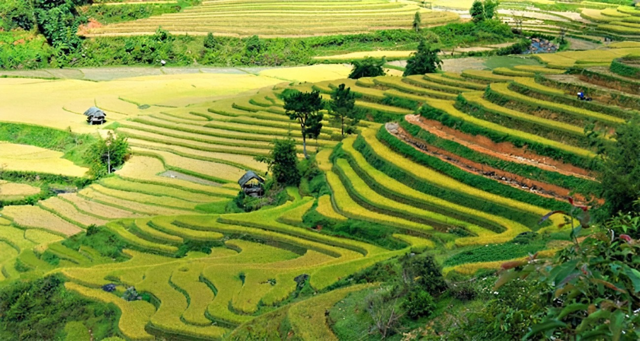 Vallée de Muong Lo