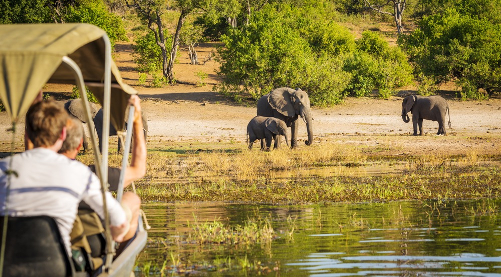 Où faire un safari au Botswana