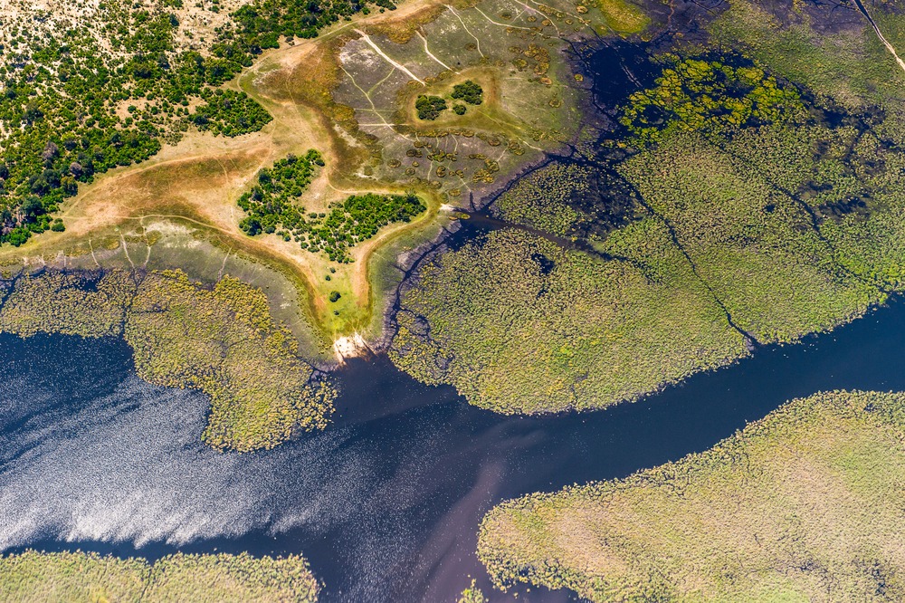 Paysage de la région Delta de l'Okavango en Botswana