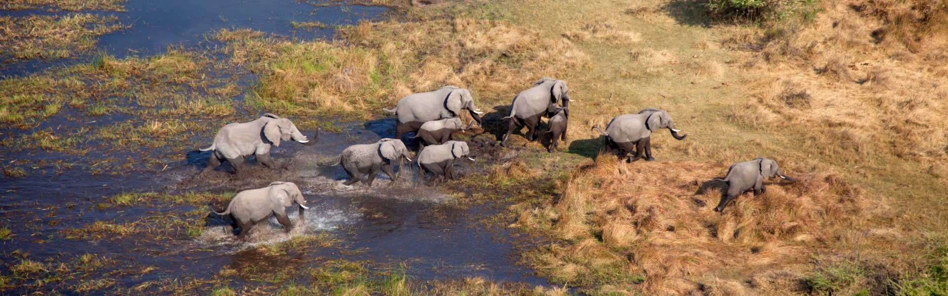 Votre agence de voyage au Botswana