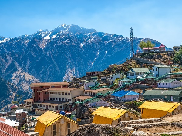 Auli