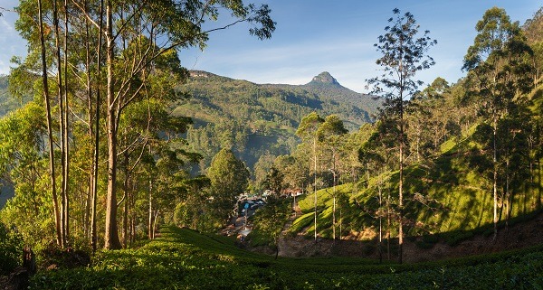 Dalhousie