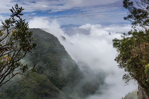 Silent Valley National Park