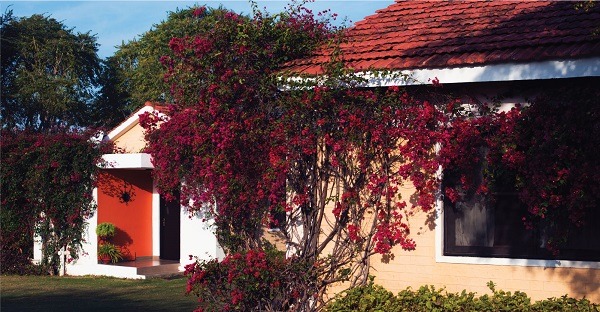Pushkar Resort