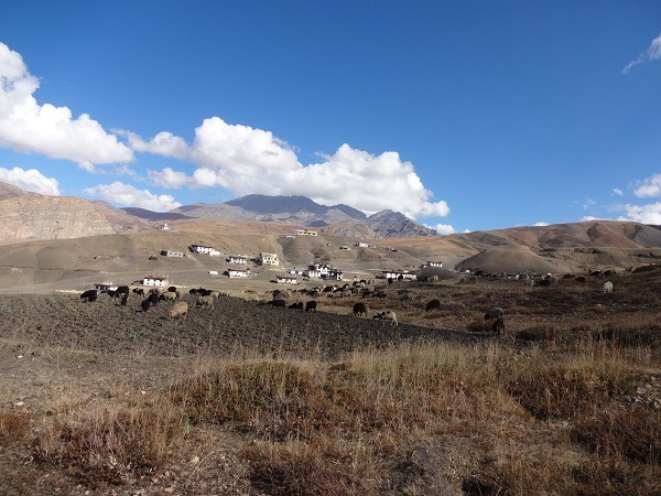 Gangpoche