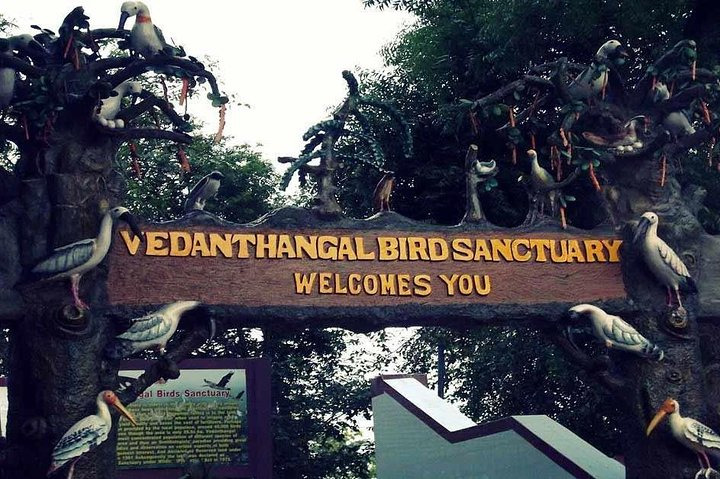 Sanctuaire d'oiseaux Vedanthangal