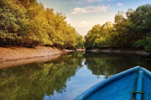 Salim Ali Bird Sanctuary