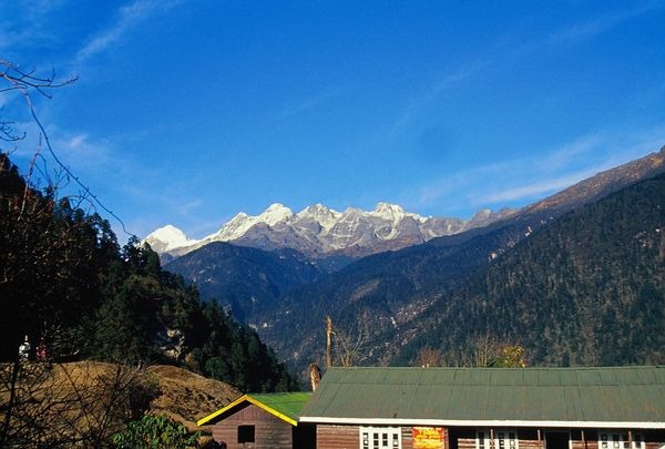 Tsokha