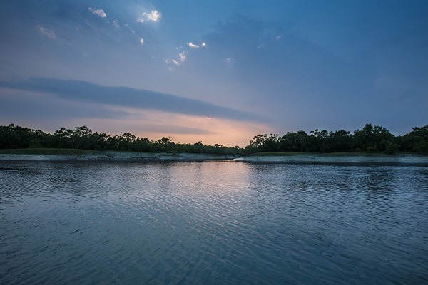 Parc national des Sundarbans