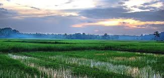 Kasaragod