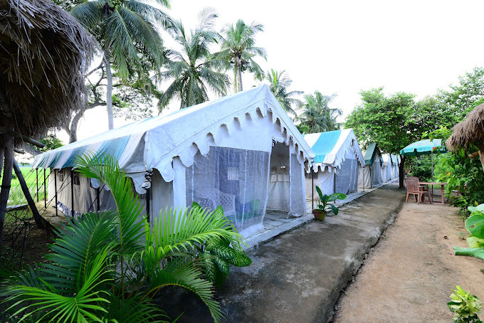 Bhitarkanika Jungle Resort