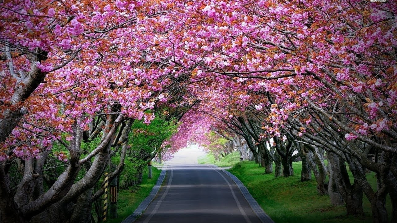 Shillong