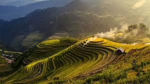 Diphu