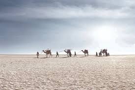 Kutch (district)