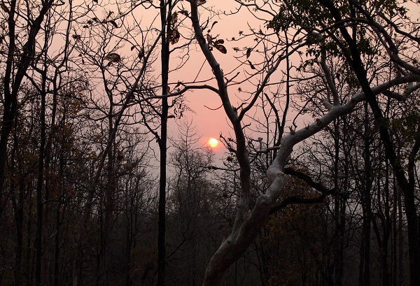 Parc national de Pench
