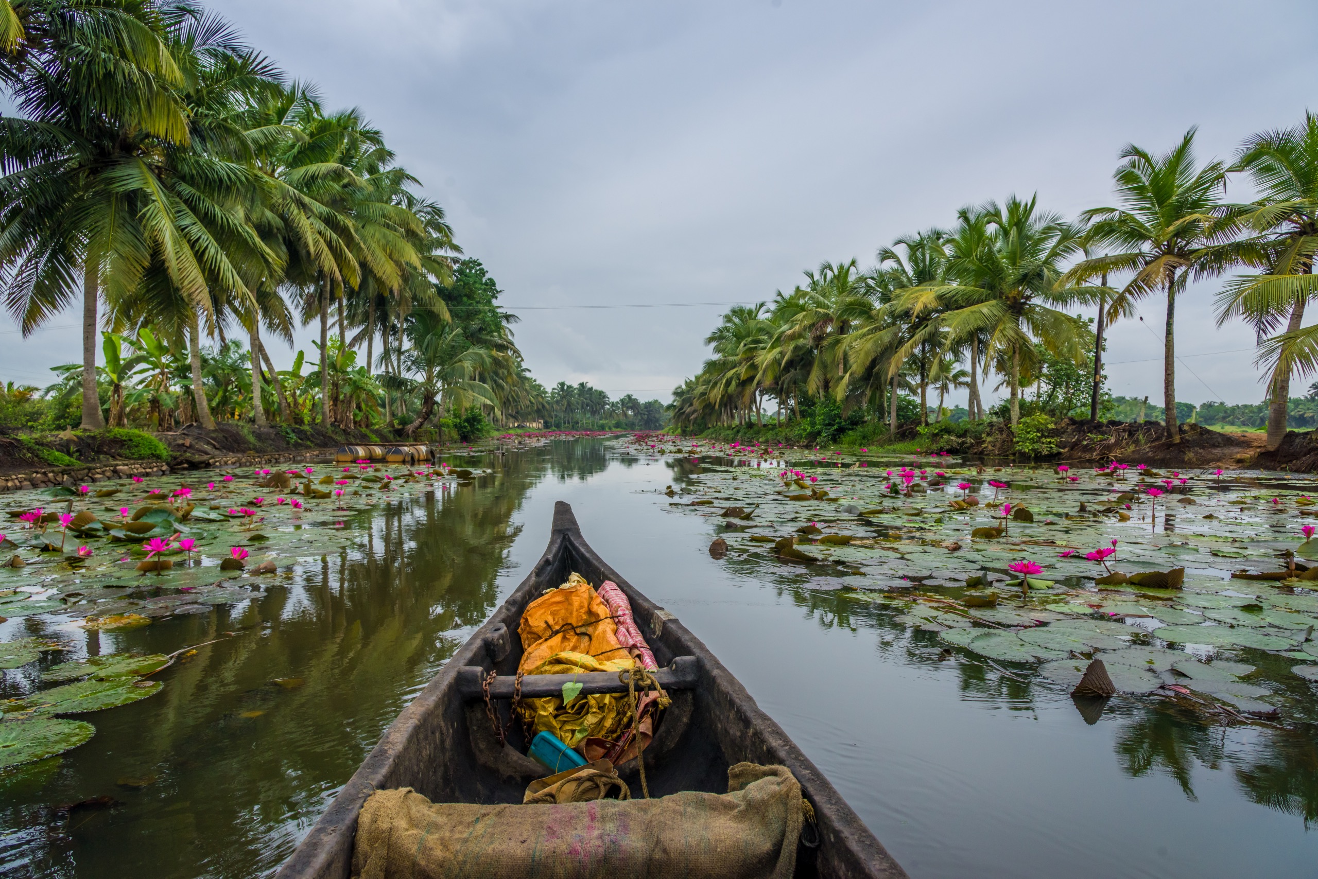 Voyage dans le Kerala : nos incontournables