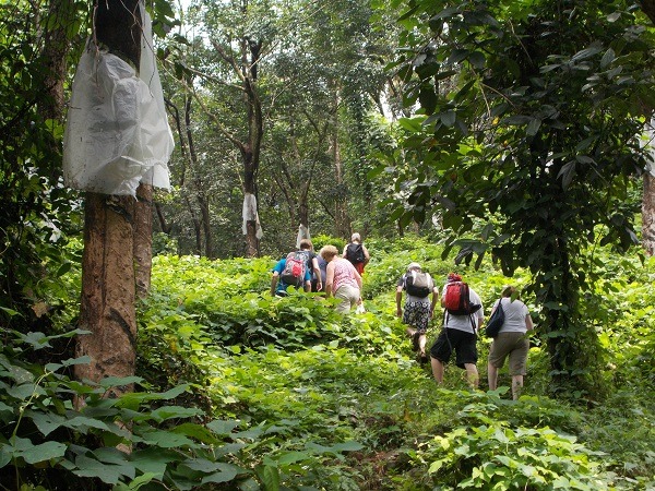 Palakkad