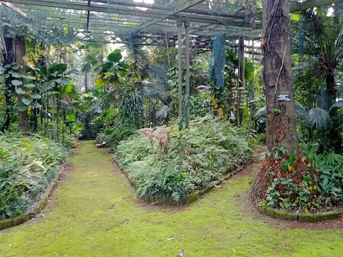 Le Jardin botanique indien