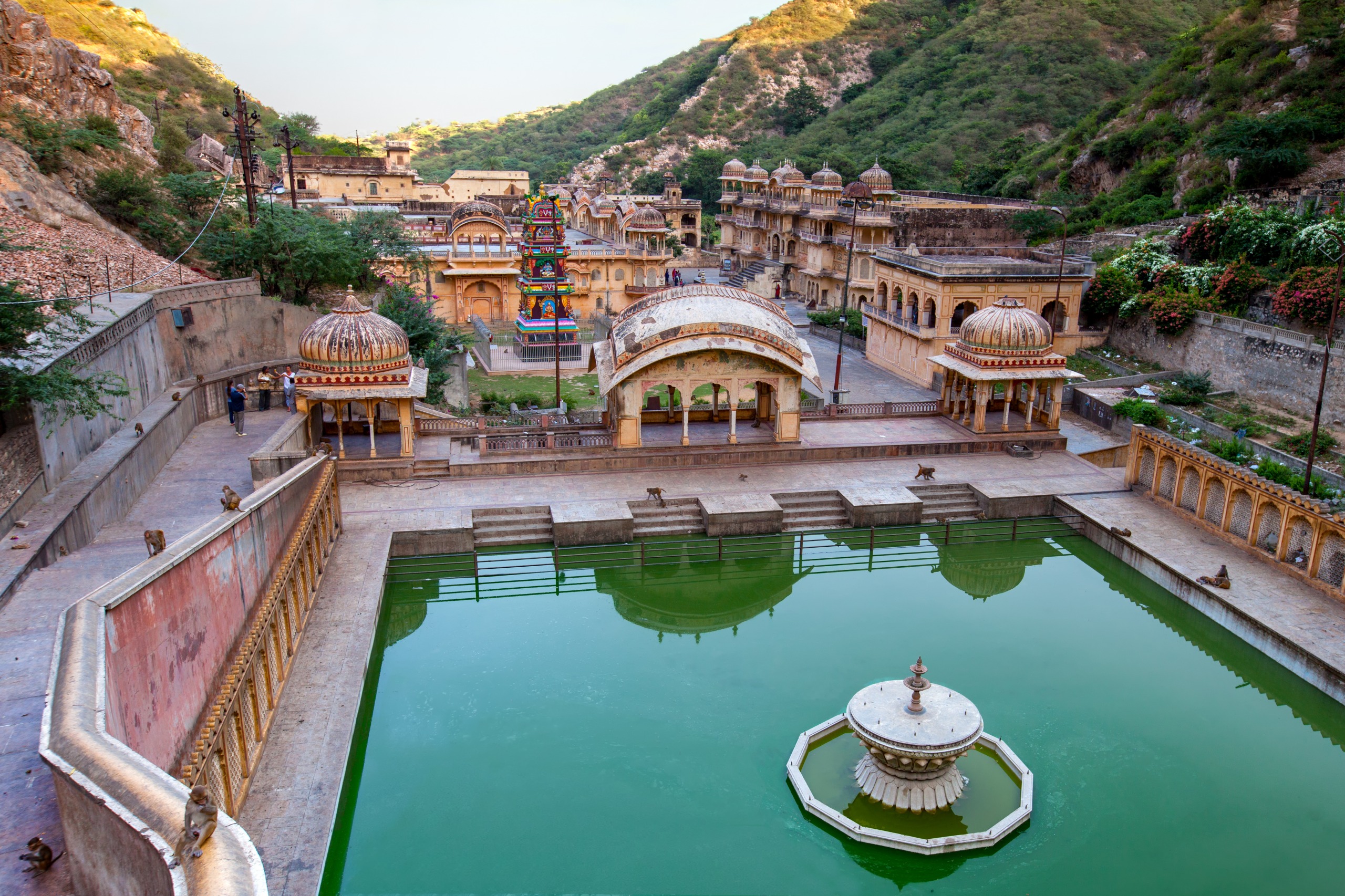 Monkey Temple (Galta Ji)