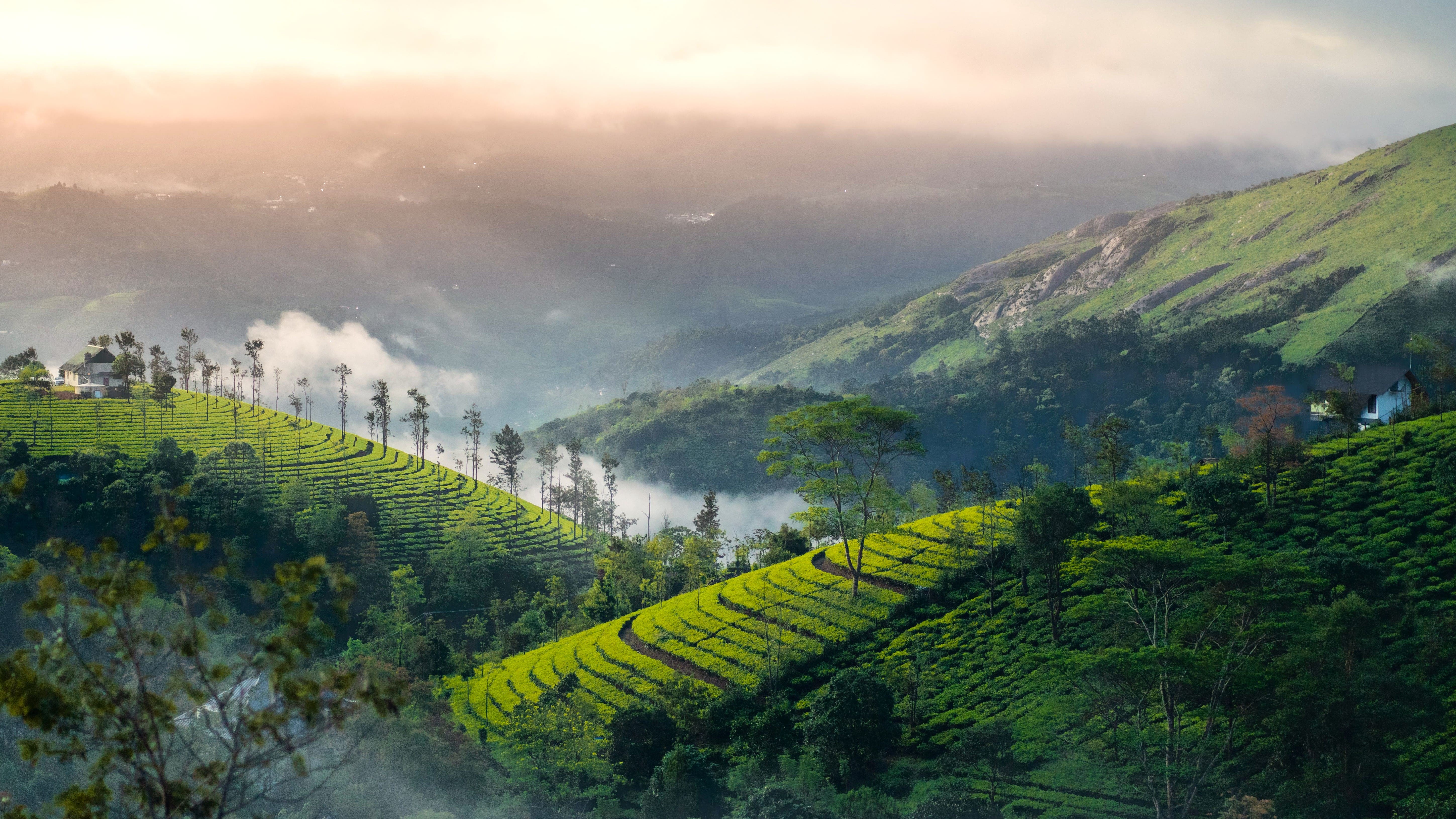 Kerala et Sud