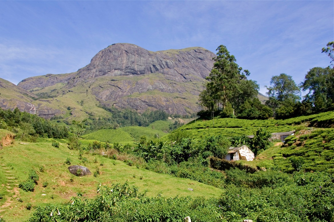 Munnar Tea Museum (KDHP Tea Museum)